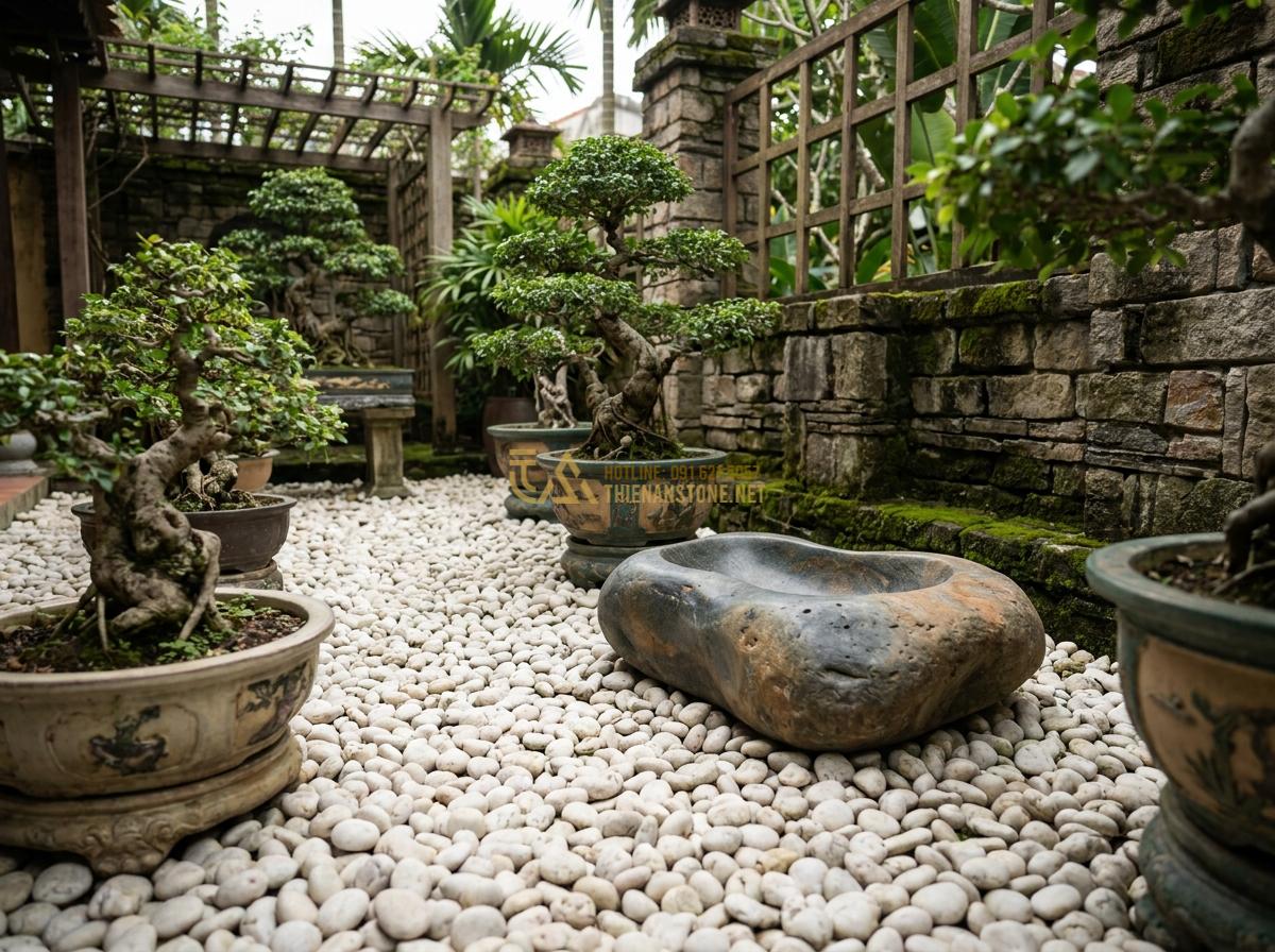Báo Giá Đá Cuội Đen, Trắng, Vân Mây Trang Trí Tự Nhiên Rẻ Nhất - White pebbles covering ground in zen garden style with bonsai trees
