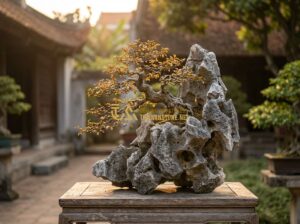 Cách Chọn Đá Tai Mèo Đẹp Không Nên Bỏ Lỡ Khi Làm Tiểu Cảnh Bonsai - Tạo ảnh tiếng Anh: A professional and artistic photograph of a high-end bonsai l