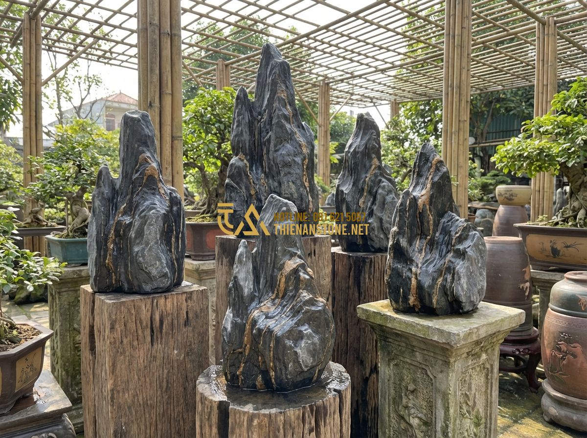 Cách Chọn Đá Vân Thạch Đẹp Cho Hồ Cá Koi Và Thác Nước Không Bị Phai Màu - Tạo ảnh tiếng Anh: A collection of high-quality Van Thach stone samples showcasi