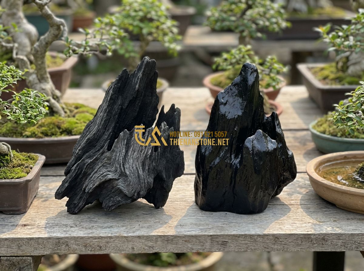 Cách Phân Biệt Đá Lũa Đen Thật Giả - Tránh Mua Phải Hàng Kém Chất Lượng - Tạo ảnh tiếng Anh: A detailed comparison view between a real black driftwood sto