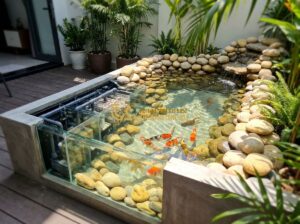 Chi Phí Xây Hồ Cá Koi Mini Là Bao Nhiêu? Bảng Giá Thi Công Thực Tế 2024 - Tạo ảnh tiếng Anh: A professional architectural blueprint of a small outdoor min