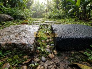 Đá Bước Dặm Granite Và Đá Bazan: Nên Chọn Loại Nào Cho Lối Đi Ngoài Trời? - Tạo ảnh tiếng Anh: A close-up cinematic shot of a natural garden path. One side