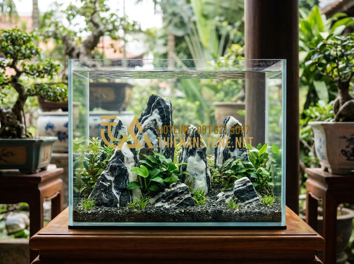 Đá Tuyết Sơn có làm tăng độ cứng (pH) của nước hồ thủy sinh không? - Hình 17 Đá Tuyết Sơn có làm tăng độ cứng (pH) của nước hồ thủy sinh không? - Beautiful benefits showcase of thriving aquarium with Snow Mountain Stone highli