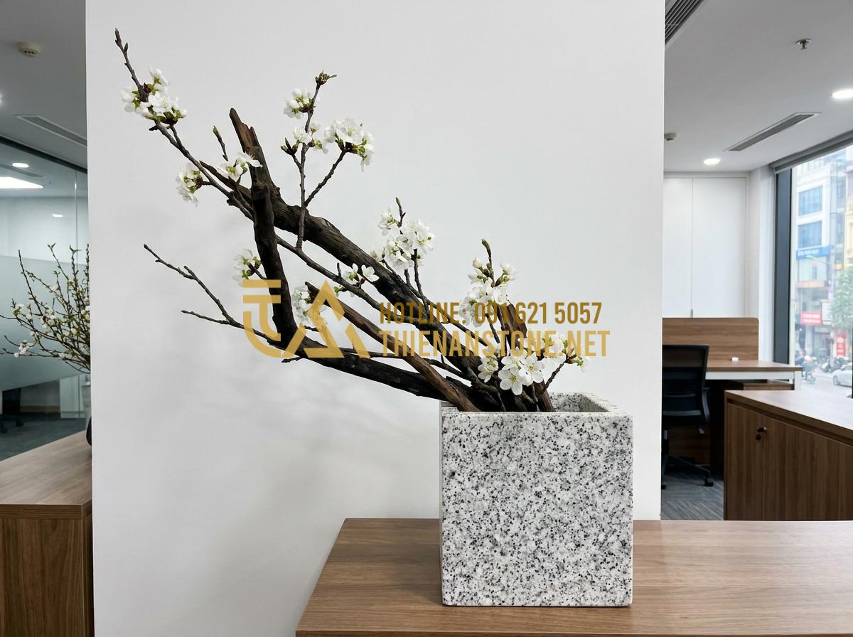 Gợi Ý 7 Cách Cắm Hoa Độc Đáo Với Bình Hoa Đá Cuội Khiến Không Gian Bừng Sáng - Hình 17 Gợi Ý 7 Cách Cắm Hoa Độc Đáo Với Bình Hoa Đá Cuội Khiến Không Gian Bừng Sáng - Modern asymmetric flower design in square pebble stone vase with dramatic angled