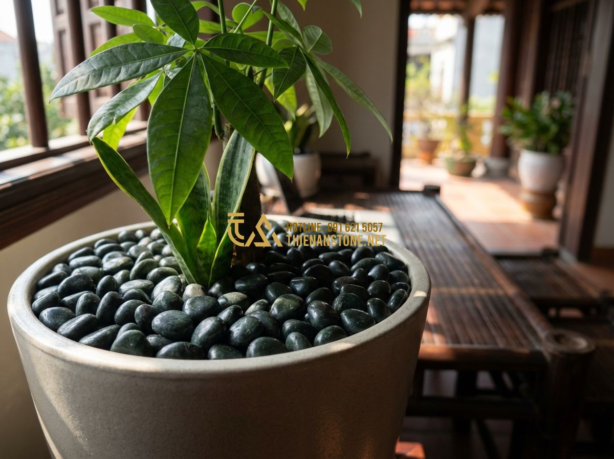 Hướng Dẫn Thi Công Sỏi Quay Đường Đi, Tiểu Cảnh Và Lavabo Đơn Giản Tại Nhà - Tạo ảnh tiếng Anh: Close-up of a stylish indoor plant pot with green leaves, the