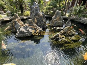 Hướng Dẫn Vệ Sinh Và Bảo Quản Đá Vân Thạch Hồ Cá, Thác Nước Đúng Cách - Tạo ảnh tiếng Anh: A high-angle shot of a luxurious koi pond with large natural