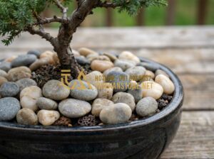 Kinh Nghiệm Chọn Đá Cuội Nhỏ, Đá Cuội Tròn Trang Trí Chậu Cây, Tiểu Cảnh - Close-up view of small round river pebbles in various natural colors like grey,