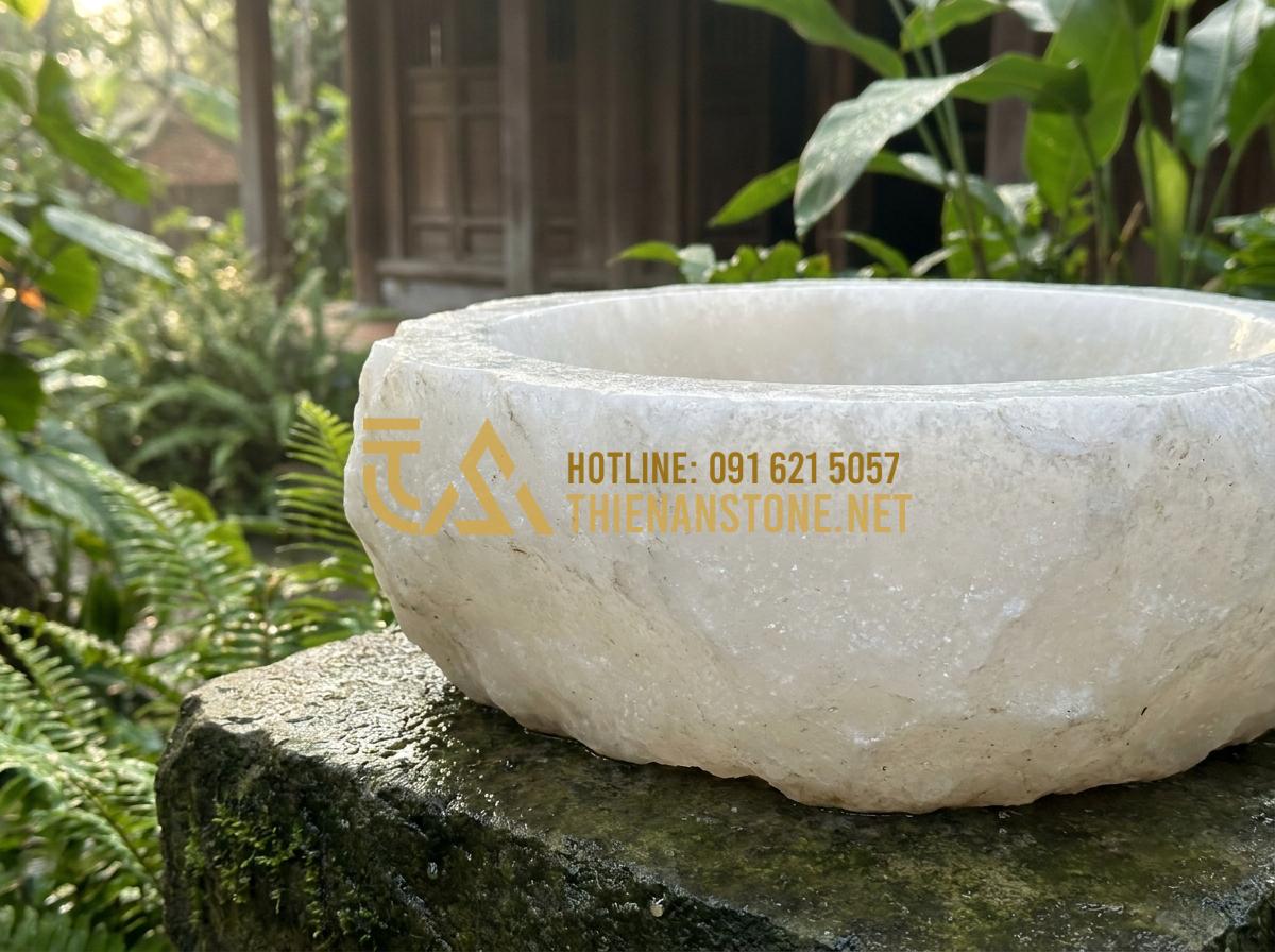 Lu đá trồng sen và nuôi cá: Tạo hệ sinh thái mini tuyệt đẹp trong lòng đá - Tạo ảnh tiếng Anh: A professional close-up photograph of a natural stone basin c