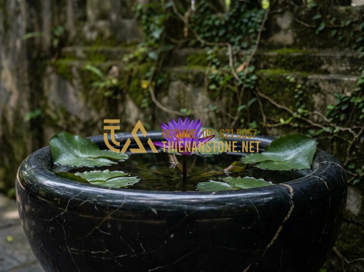 Lu đá trồng sen và nuôi cá: Tạo hệ sinh thái mini tuyệt đẹp trong lòng đá - Tạo ảnh tiếng Anh: A vibrant purple water lily blooming in a dark gray stone bas
