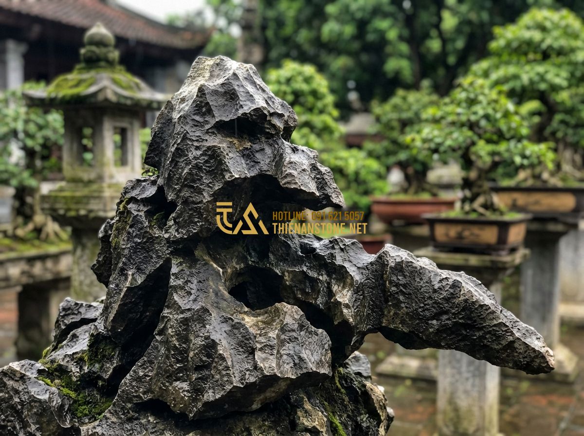 So Sánh Đá Tai Mèo Với Đá Vữa, Đá Lava Và Đá San Hô Trong Làm Cảnh - Tạo ảnh tiếng Anh: A cinematic, high-detail close-up of a weathered Tai Meo ston