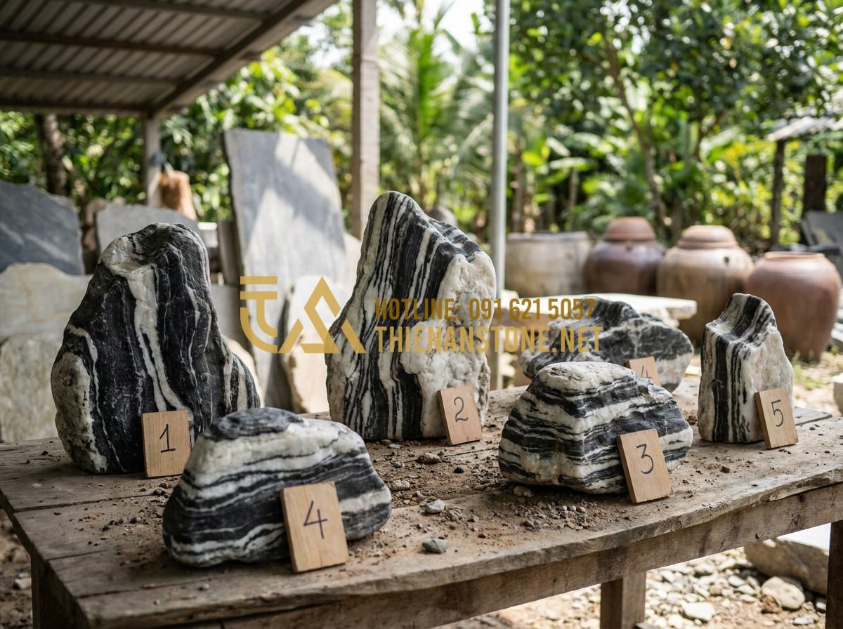 So sánh đá Tuyết Sơn và đá Cổ Thạch: Nên chọn loại nào làm non bộ? - Collection of different classified natural landscape stones displayed with label