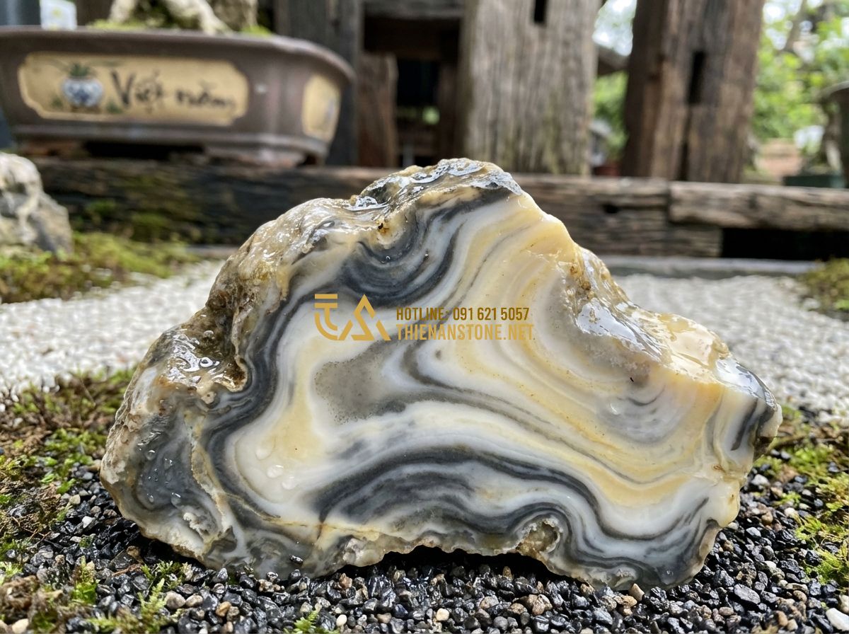 So Sánh Đá Vân Thạch Với Đá Granite, Đá Cuội Và Đá Bazan Khi Làm Hồ Cá & Tiểu Cảnh - Tạo ảnh tiếng Anh: A close-up shot of a high-quality Van Thach stone (cloud ston