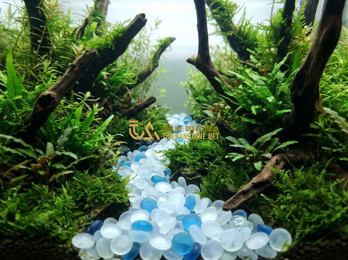 Sỏi Thủy Tinh Màu Trang Trí Bể Cá Có Nên Dùng? Ưu Nhược Điểm - Tạo ảnh tiếng Anh: An artistic aquarium landscape design, a path of translucent
