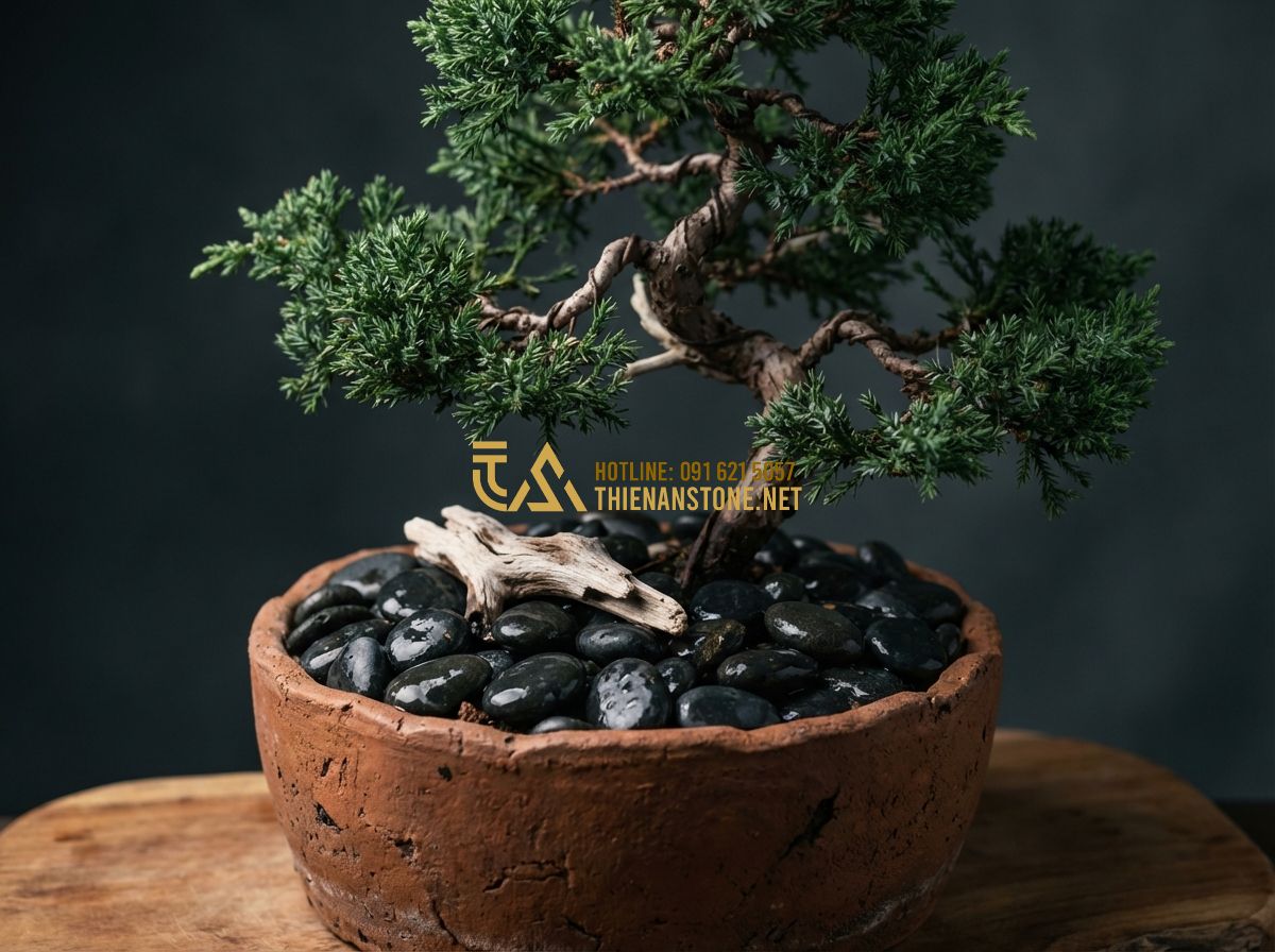 Sỏi Trang Trí Chậu Cây Cảnh Và Gốc Cây: Bí Quyết Làm Đẹp Chuyên Nghiệp - Hình 5 Sỏi Trang Trí Chậu Cây Cảnh Và Gốc Cây: Bí Quyết Làm Đẹp Chuyên Nghiệp - Tạo ảnh tiếng Anh: Artistic arrangement of a miniature Zen garden inside a shall
