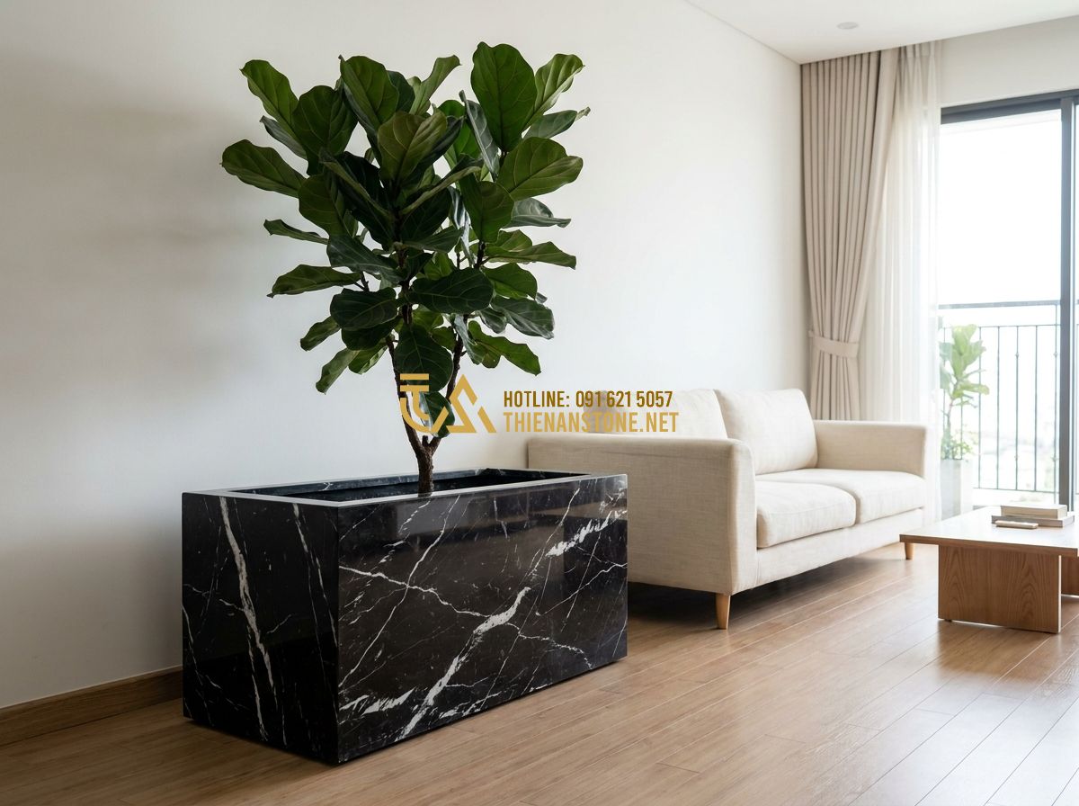 Top 100 Mẫu Chậu Đá Trồng Cây Cảnh Đẹp Nhất 2026 Cho Ban Công, Sân Vườn & Nội Thất - Hình 7 Top 100 Mẫu Chậu Đá Trồng Cây Cảnh Đẹp Nhất 2026 Cho Ban Công, Sân Vườn & Nội Thất - Tạo ảnh tiếng Anh: Minimalist interior design features a sleek charcoal grey nat