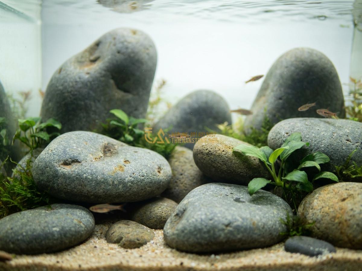 Top 5+ Layout Đá Cuội Đẹp Cho Bể Thủy Sinh Được Ưa Chuộng Nhất - Close-up view of various river pebble stones arranged in an aquascape biotop sty