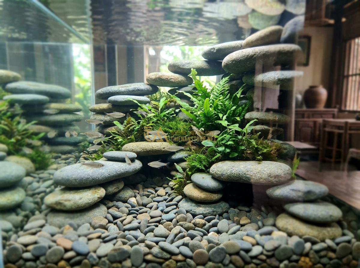 Top 5+ Layout Đá Cuội Đẹp Cho Bể Thủy Sinh Được Ưa Chuộng Nhất - Immersive view of a biotop river pebble layout in a large aquarium tank with lay