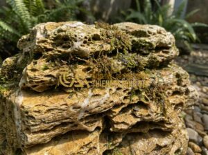 Vì Sao Đá Cổ Thạch Nghệ An Lại Được Giới Chơi Cây Cảnh Săn Lùng? - Close-up detailed view of Nghe An ancient stone showing layered patterns, porous